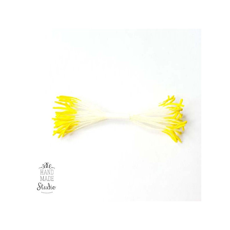 Квіткові тичинки блідо-жовті з жовтими кінцями, №29