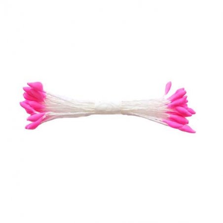 Квіткові тичинки білі пупирчаті з яскраво-рожевими кінцями №111