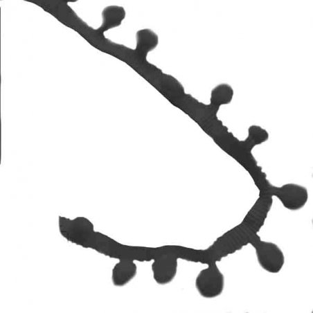 Тесьма с помпонами d-1см, цвет черный, 1 м
