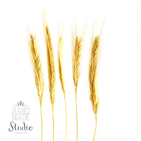Колоски пшеницы натуральные, 25-35 см, 38-40 штук