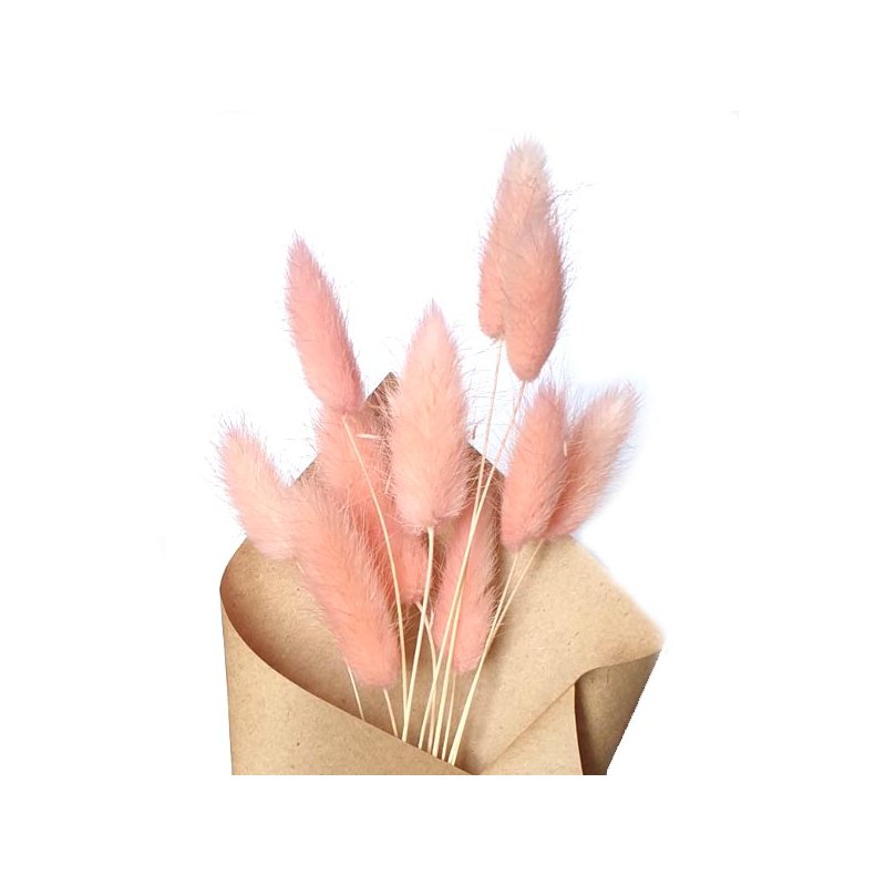 Сухоцвет Лагурус (Заячьи хвостики), цвет розовый,11 штук