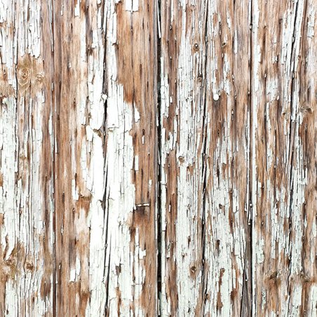 Вініловий безбліковий фотофон Дерево №33, 50 * 50 см