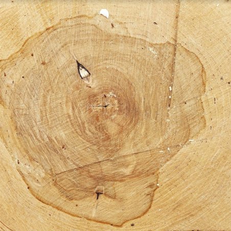 Виниловый безбликовый фотофон Дерево №40, 50*70 см