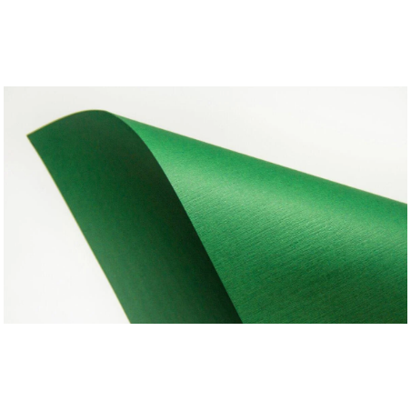 Дизайнерський картон SIRIO TELA foglia 290 г / м2 (20х35 см), зелений