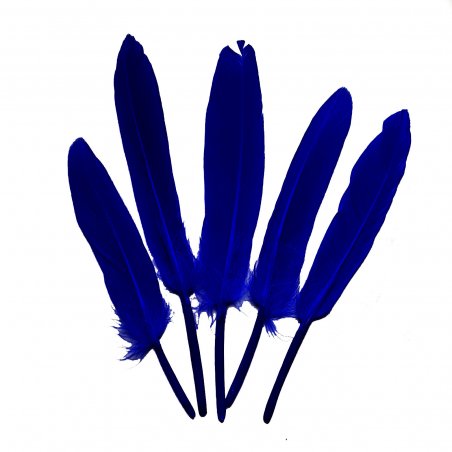 Перья ровные 12-15 см, цвет синий, 5 штук