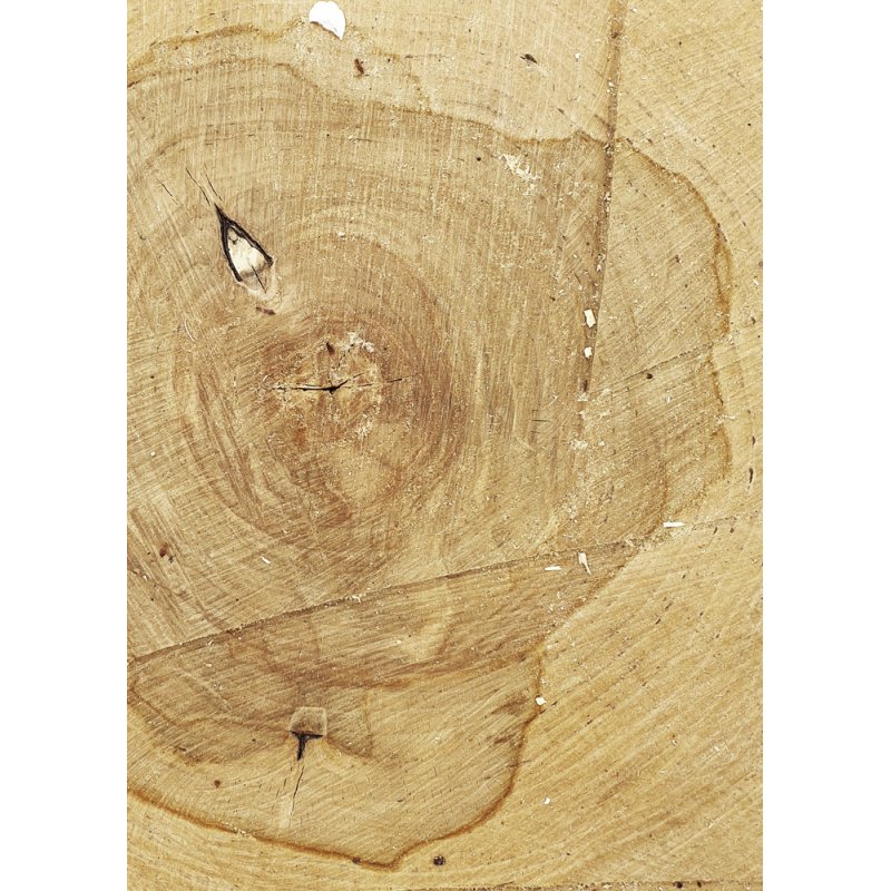 Вініловий безбліковий фотофон Дерево №40, 50 * 70 см