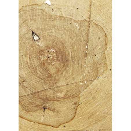 Вініловий безбліковий фотофон Дерево №40, 50 * 70 см