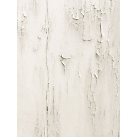 Виниловый безбликовый фотофон Дерево №56, 50*70 см