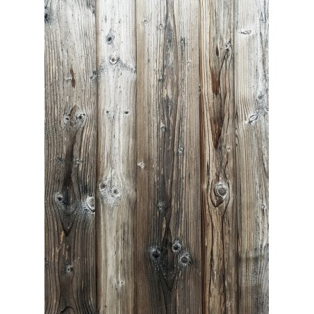 Виниловый безбликовый фотофон Дерево №7, 50*70 см