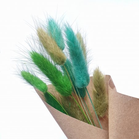 Сухоцвет Лагурус (Заячьи хвостики), цвет зеленый микс, 11 штук