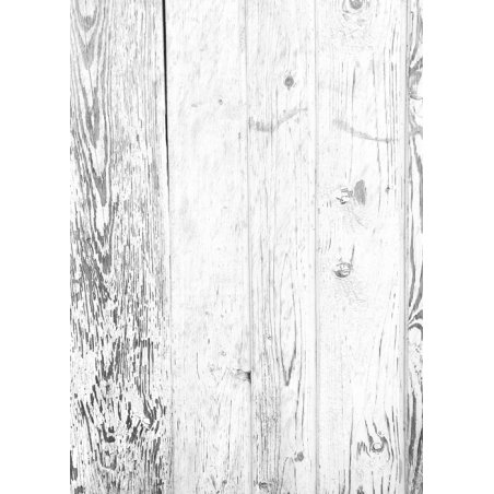 Виниловый безбликовый фотофон Дерево №11, 50*70 см