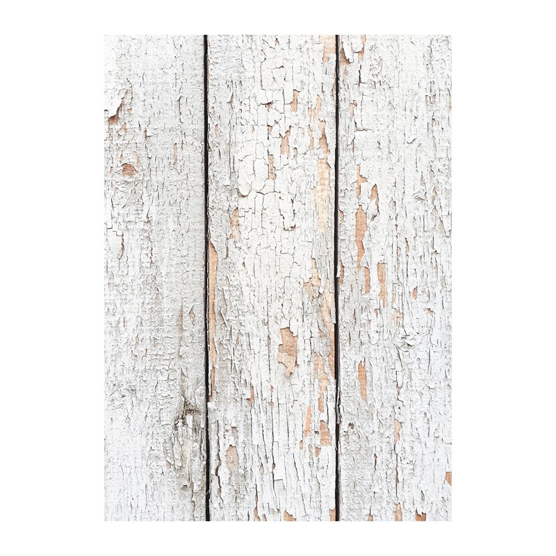 Виниловый безбликовый фотофон Дерево №15, 50*70 см