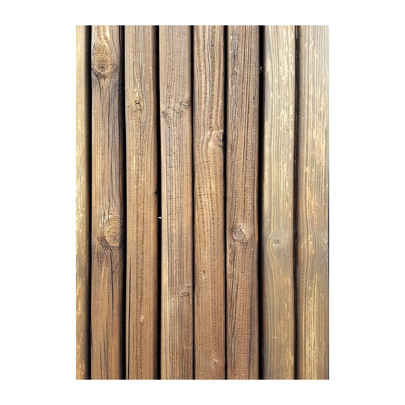 Виниловый безбликовый фотофон Дерево №27, 50*70 см