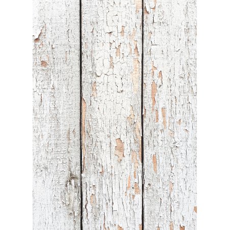 Вініловий безбліковий фотофон Дерево №15, 50 * 70 см