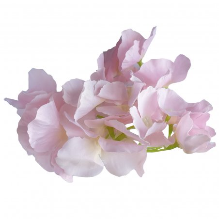 Суцвіття гортензії, 15 см, колір блідо-рожевий