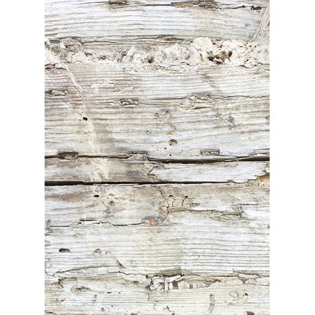Вініловий безбліковий фотофон Дерево №37, 50 * 70 см