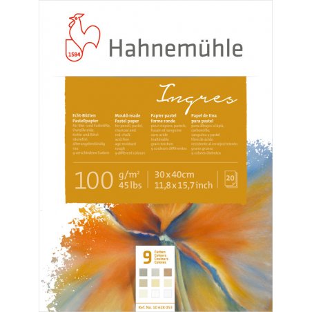 Альбом для пастелі Hahnemuhle Ingres 100 г / м², 24х31 см, 20 аркушів (9 кольорів)