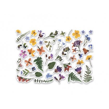 Набор высечек для скрапбукинга "Herbarium Wild summer" 90 штук