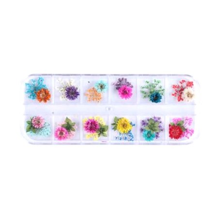 Набор из 12-ти сухоцветов в пластиковом контейнере №1 (гортензия)