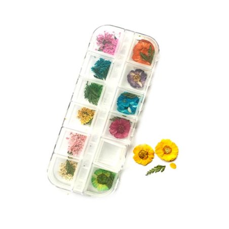 Набор из 12-ти сухоцветов в пластиковом контейнере №1 (гортензия)