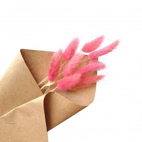 Сухоцвіт Лагурус (Заячі хвостики), колір рожевий, 10 штук