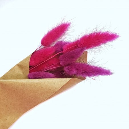 Сухоцвет Лагурус (Заячьи хвостики), цвет фиолетовый микс, 11 штук
