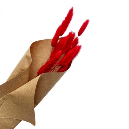 Сухоцвет Лагурус (Заячьи хвостики), цвет красный, 11 штук