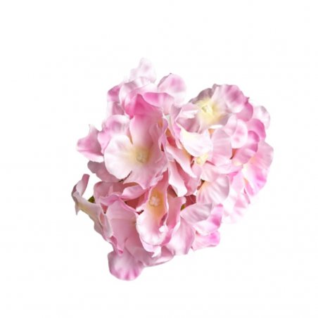 Суцвіття гортензії, 15 см, колір айворі рожевий