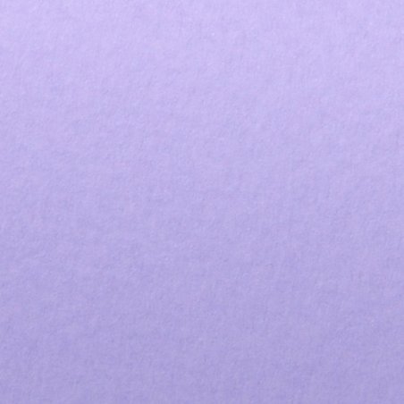 Ватман текстурный TINTORETTO 250 г/м2 В2 (50х70 см), цвет сиреневый (anice)