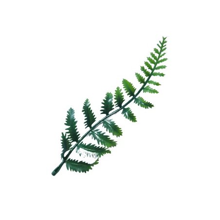 Лист Папороті (пластик) зелено-салатовий 17 см