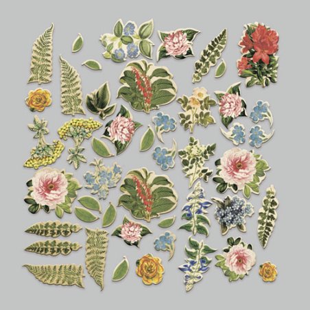 Набір висічок для скрапбукінгу "Summer botanical story" FDSDC-04128, 47 штук