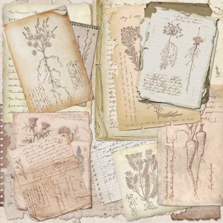 Набор двусторонней фоновой бумаги 30,5х30,5 см "Summer Botanical story", 10 листов