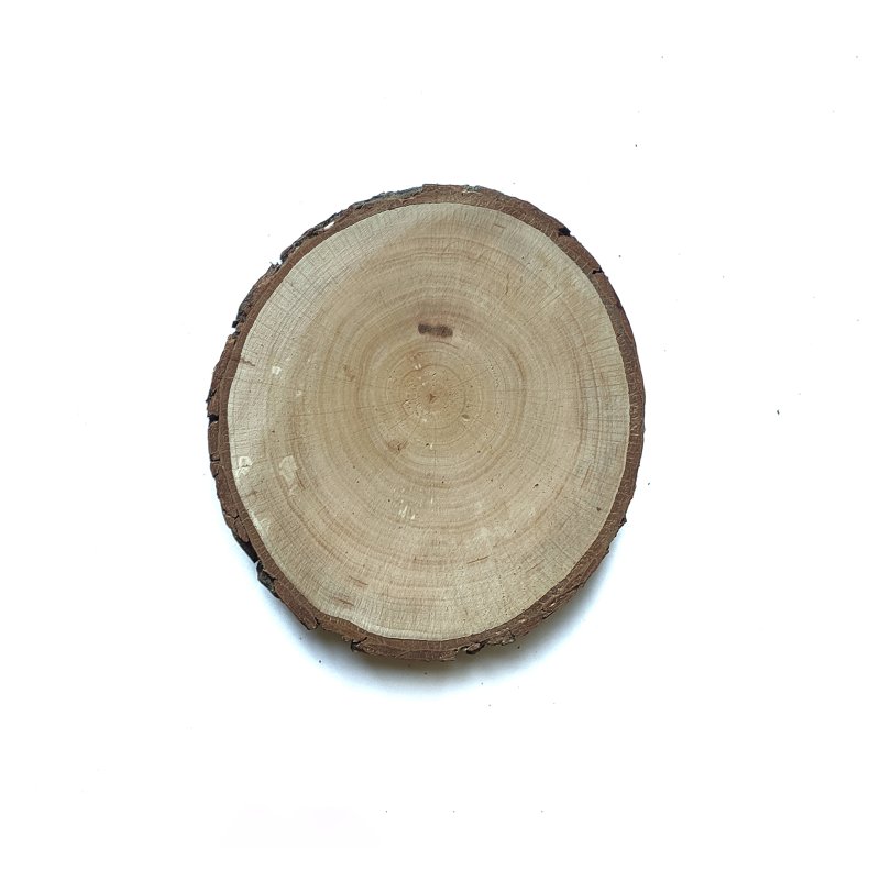 Зріз дерева з корою, 13,5-15 см (вільха)