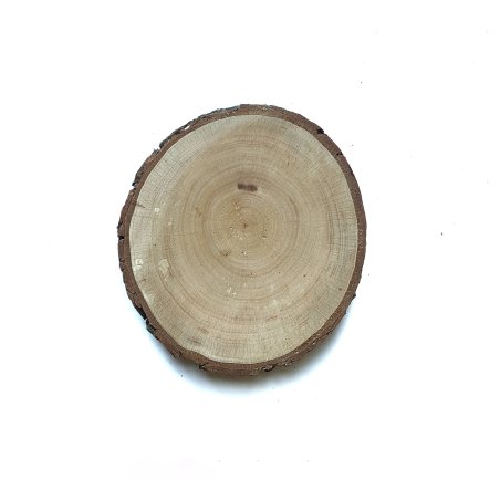 Зріз дерева з корою, 13,5-15 см (вільха)