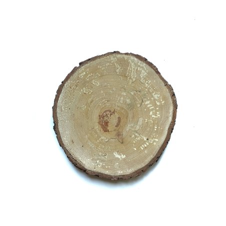 Срез дерева с корой, 13,5-15 см (ольха)