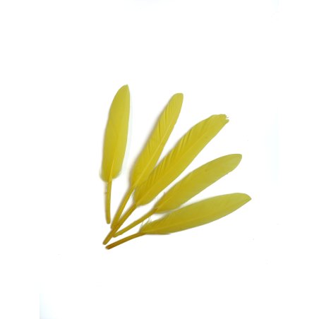 Перья ровные 12-15 см, цвет желтый, 5 штук