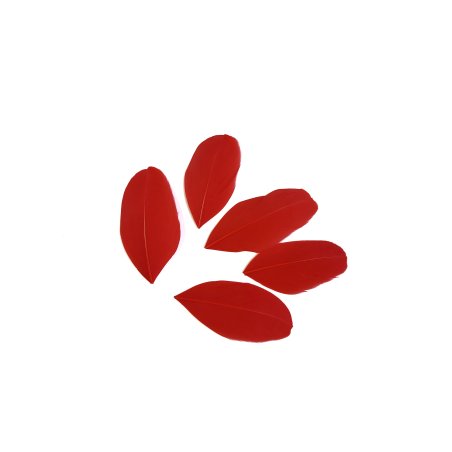 Перья фигурные цвет красный 5-8  см, 5 штук