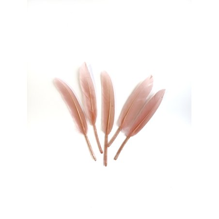 Перья ровные 12-15 см, цвет персиковый, 5 штук