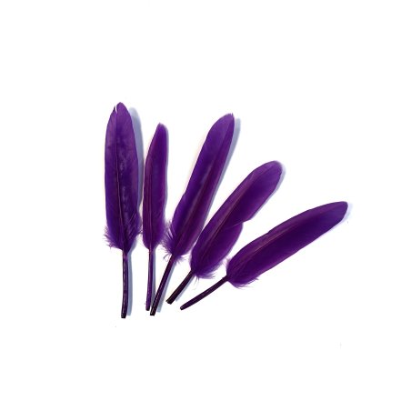 Перья ровные 12-15 см, цвет фиолетовый, 5 штук