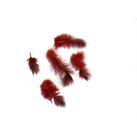 Перья цесарки цвет красный в горошек, 5 штук