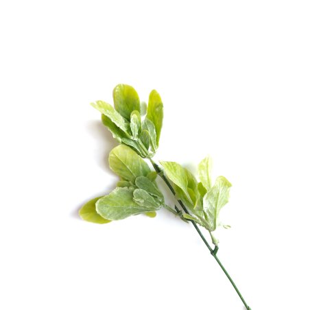 Искусственная зелень "Заячья капуста", цвет белый, 18 см