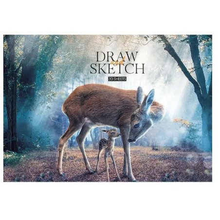 Альбом для малювання "SKETCH BOOK" в асортименті, 100 г / м2, 30 аркушів