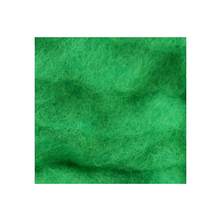 Шерсть новозеландский кардочес К5005 (27мк.), зеленый, 25г