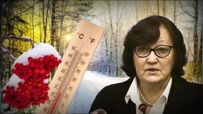 Погода на зиму 2026 року в Україні Погода на зиму 2026 року в Україні