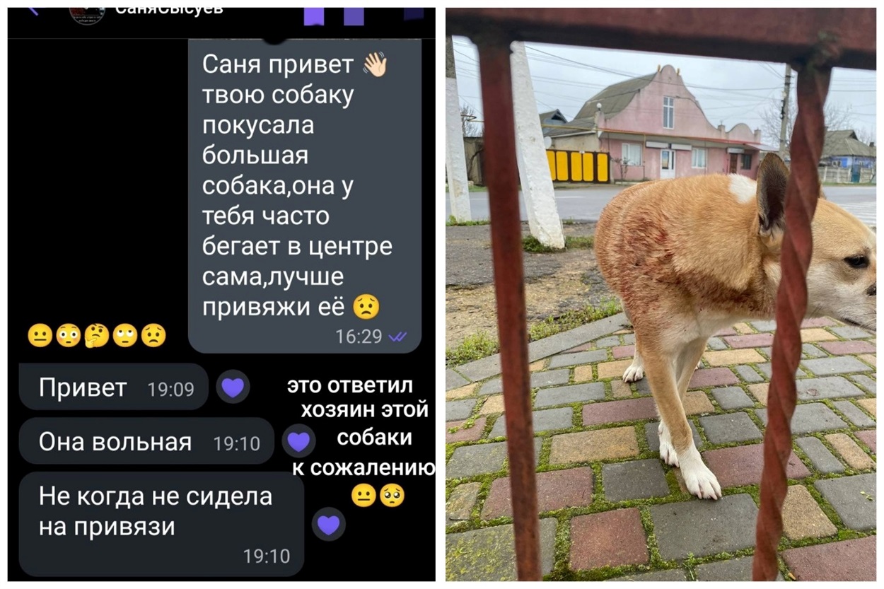 Пост в одній з місцвих груп Біляївки, де власник не переймається, що порушує правила утримання тварин і 
