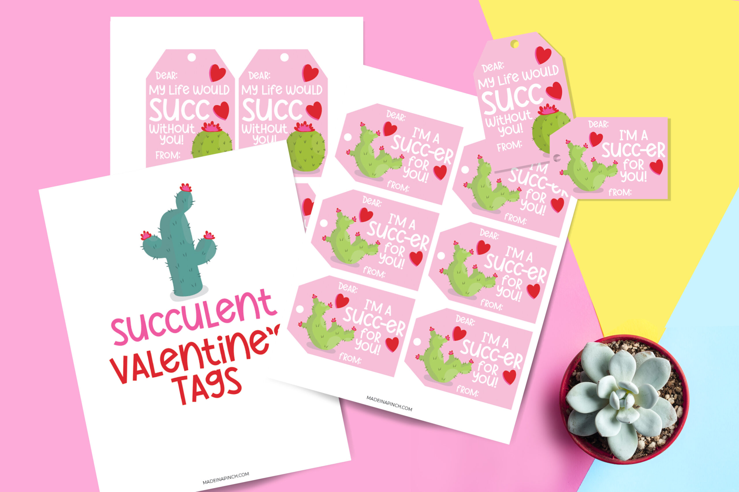 https://hmstudio.com.ua/wp-content/uploads/2025/12/valentine-cactus-tags-mockup-scaled-1.jpg