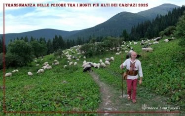 Фото 2 — Чому занепадає галузь, яка могла б приносити $20 млрд Україні – бліц-інтерв’ю із Асоціацією вівчарів