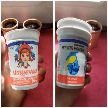 Сирок Машенька 2022 рік