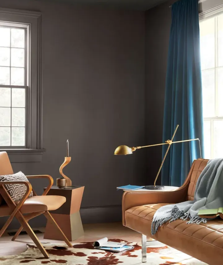 Вітальня з насиченим коричневим кольором