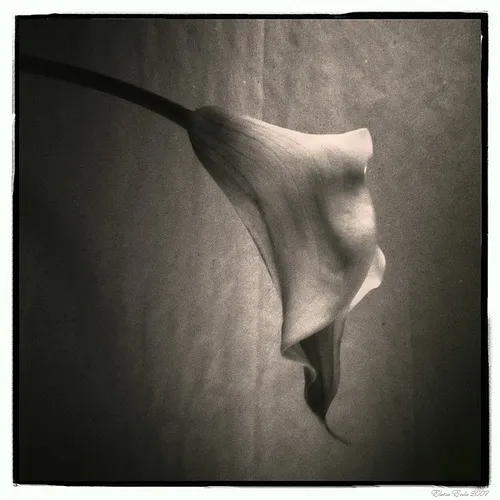 Фото pinhole-фотографії